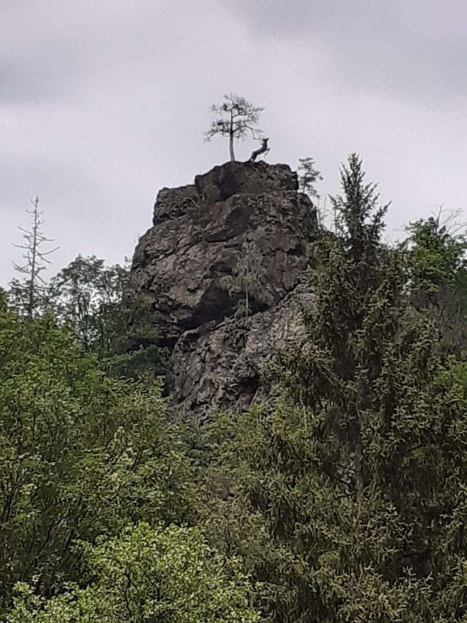 Ferienhaus Am See Lichtenberg Bayern Frankenwaldsee المظهر الخارجي الصورة